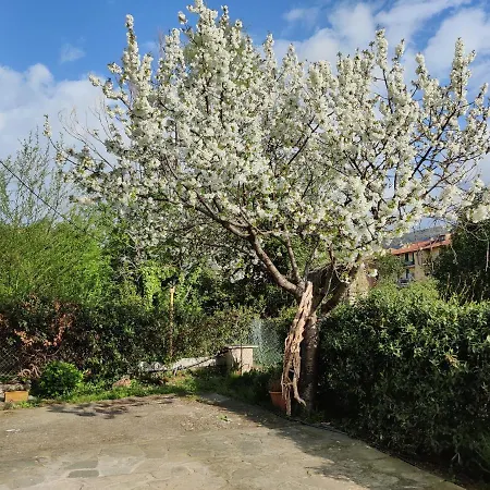 Holiday home Nel Int 2